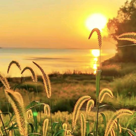 滴好每一天《饶师傅》