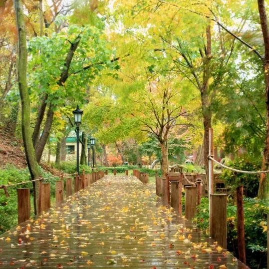 蒲城一隅