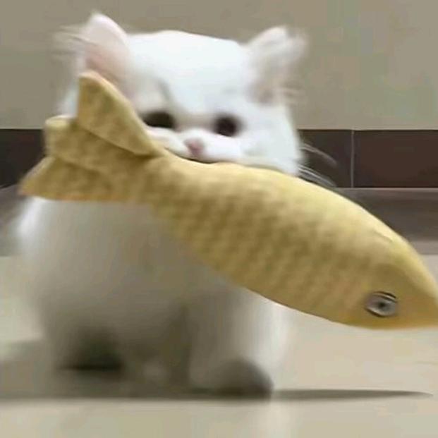没什么.