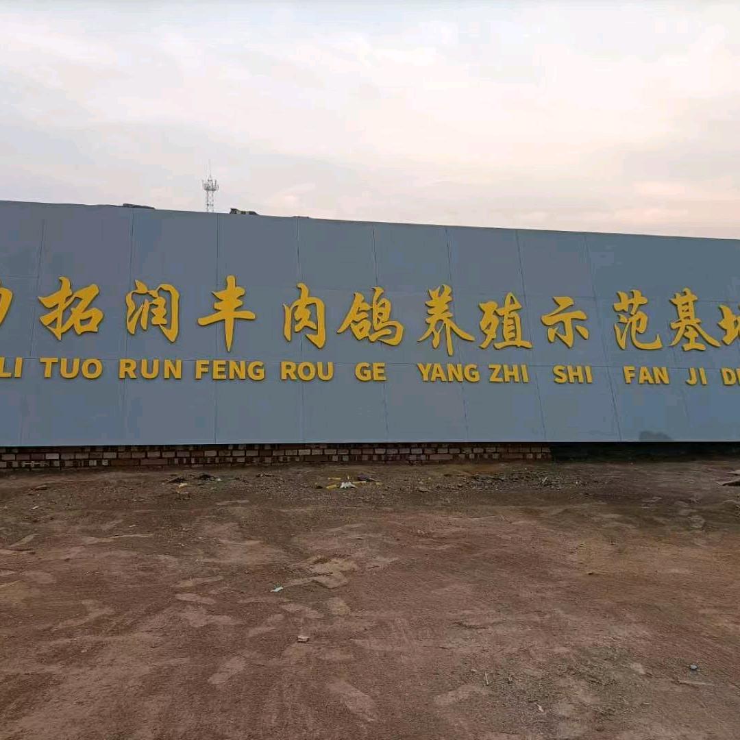 清真义丰园食品有限公司