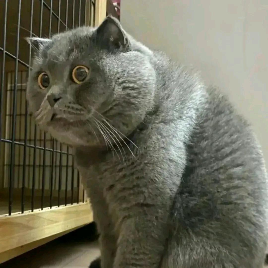 总吃不饱吖