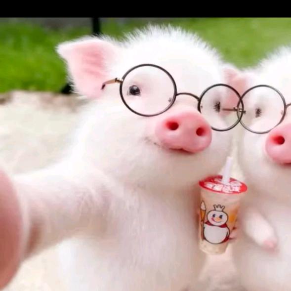 🌈元气少女锅德缸🌈