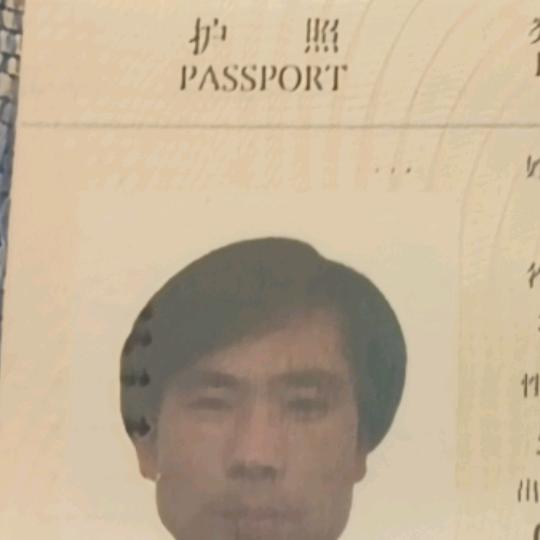 单身情歌
