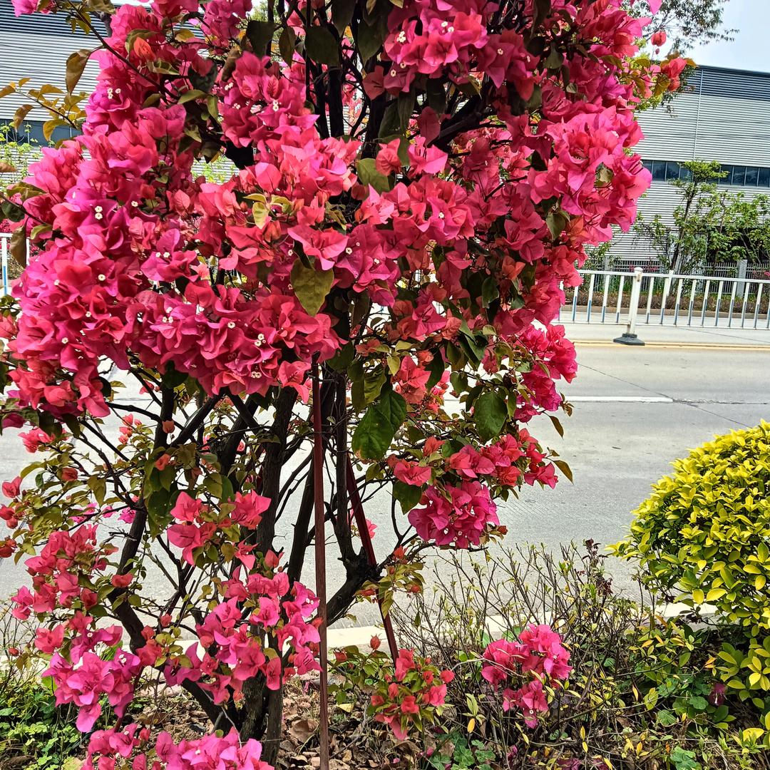 谁好不如自己好