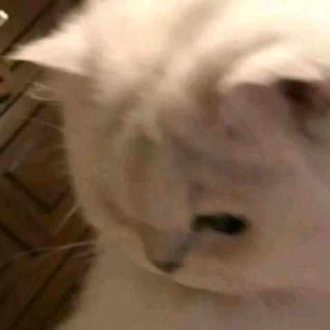 11111