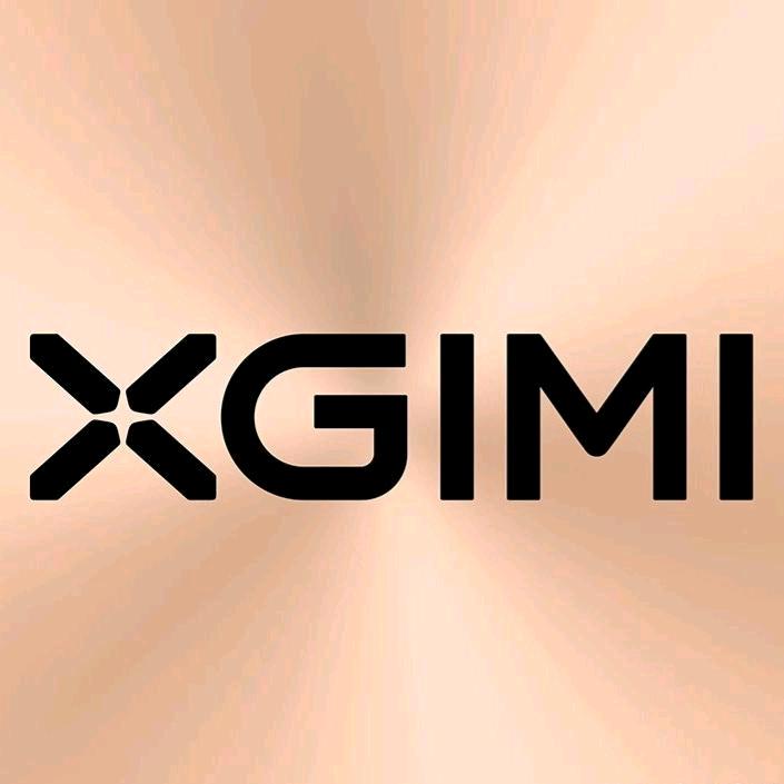 XGIMI极米投影