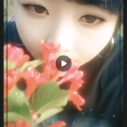 零秒记忆