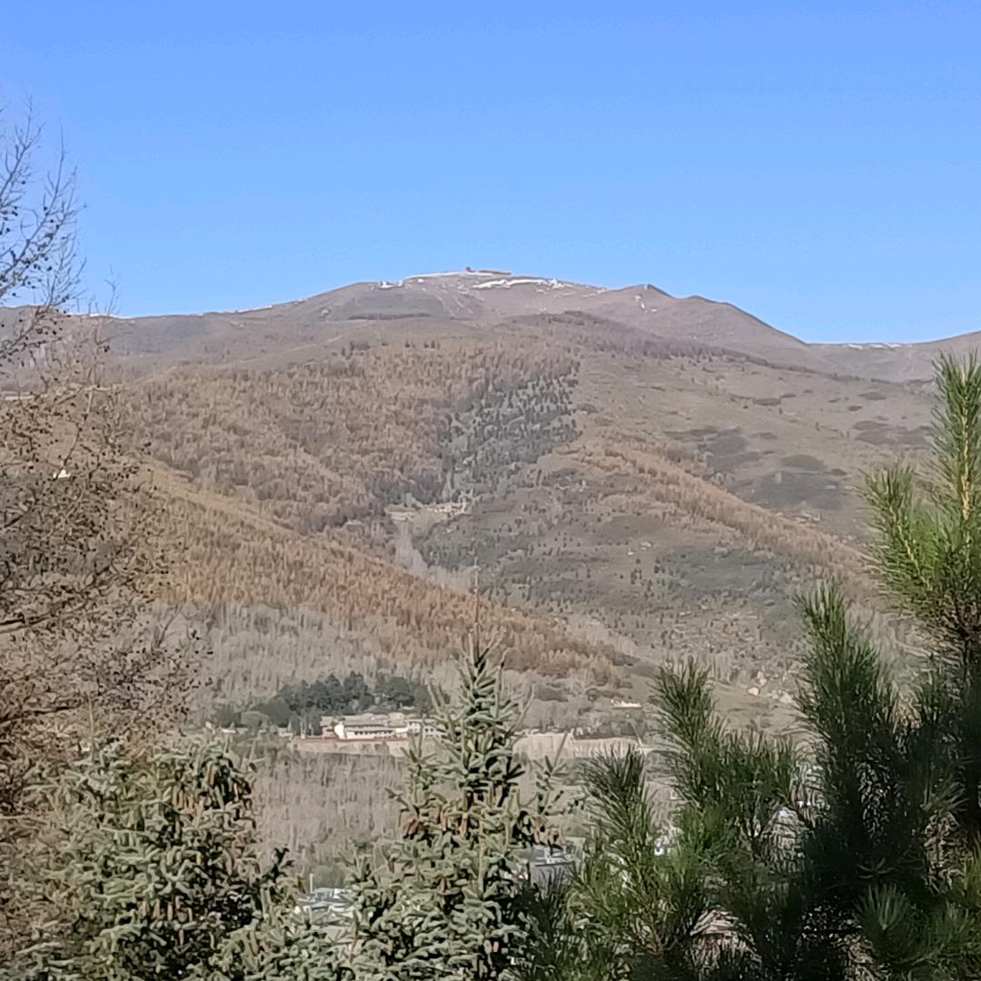 小鱼儿 （加油）