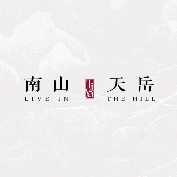 南山·天岳