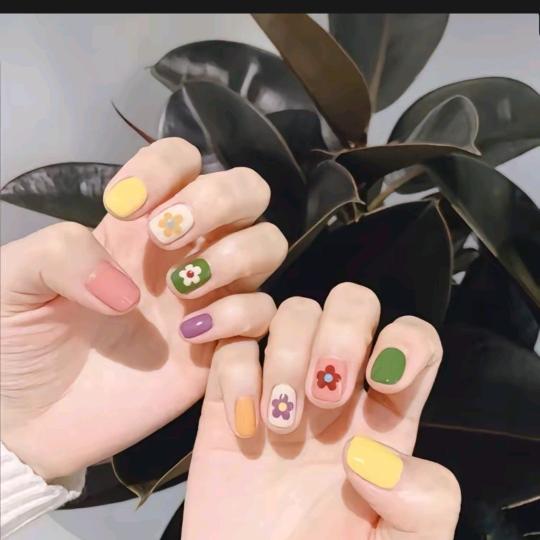 莫碗