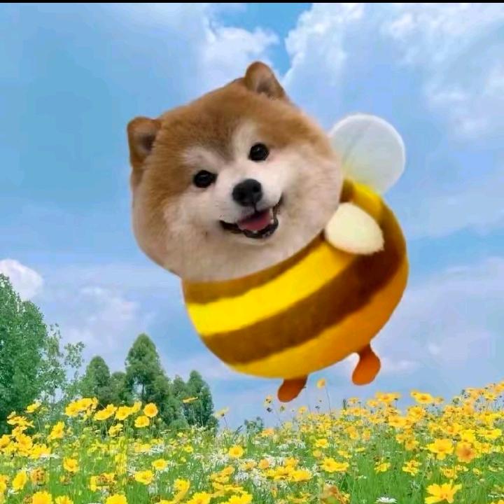 幸福相伴一生💗💗💗