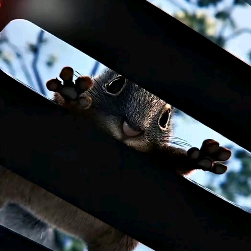 ᦗ᭄꯭💞烟酒ᤢᤣ℘💞疗꧔ꦿ᭄心伤❤️