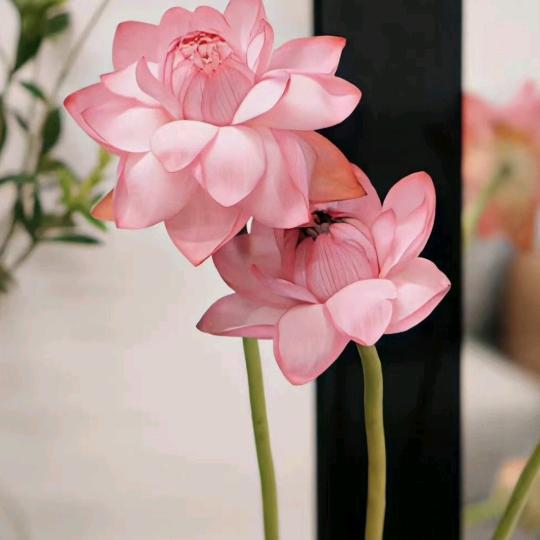 医者佛心（专业风水师善德善行）