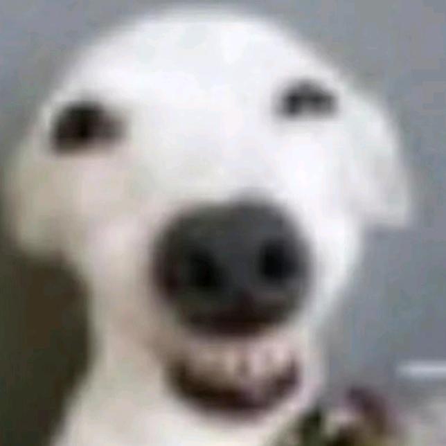 美大叔