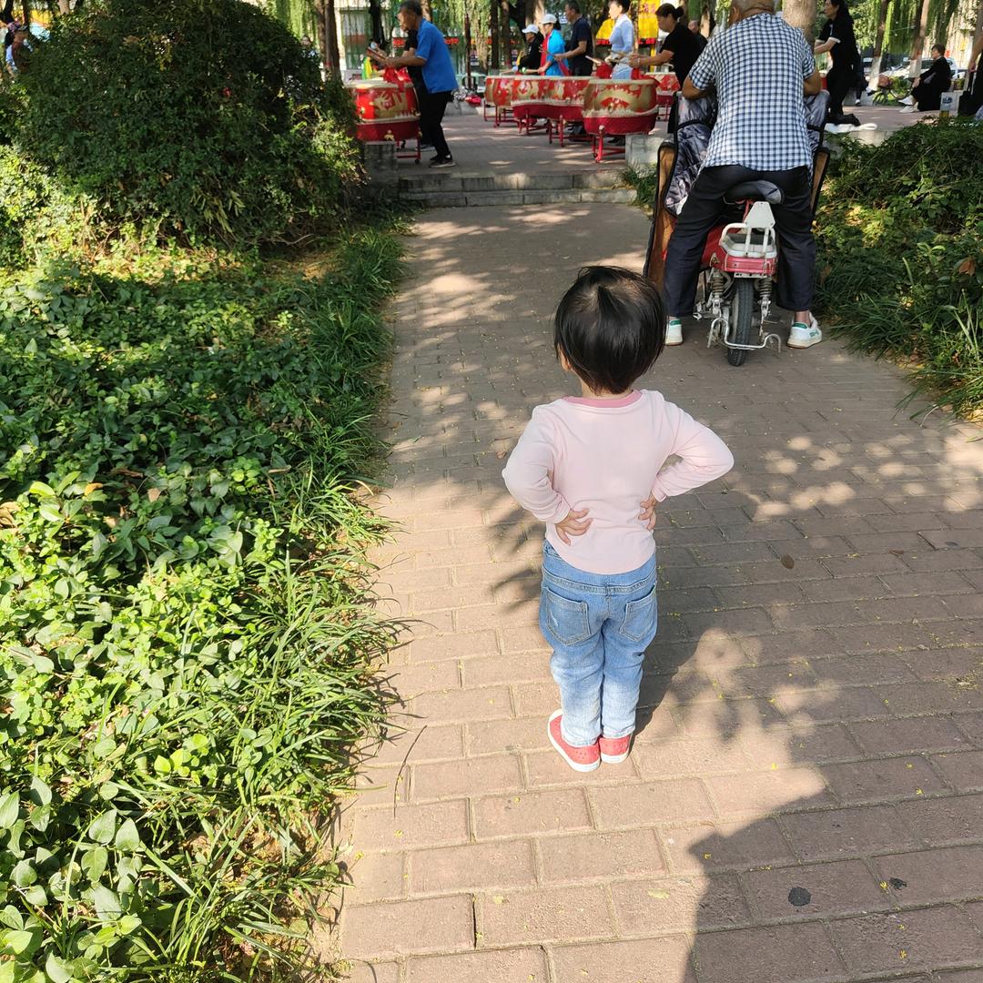 勿芯