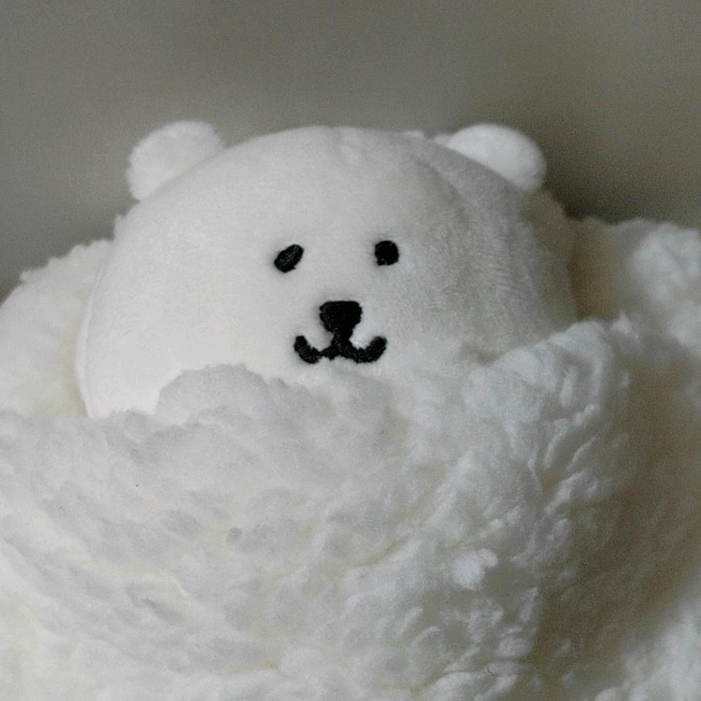 小叁上岸【📷版】