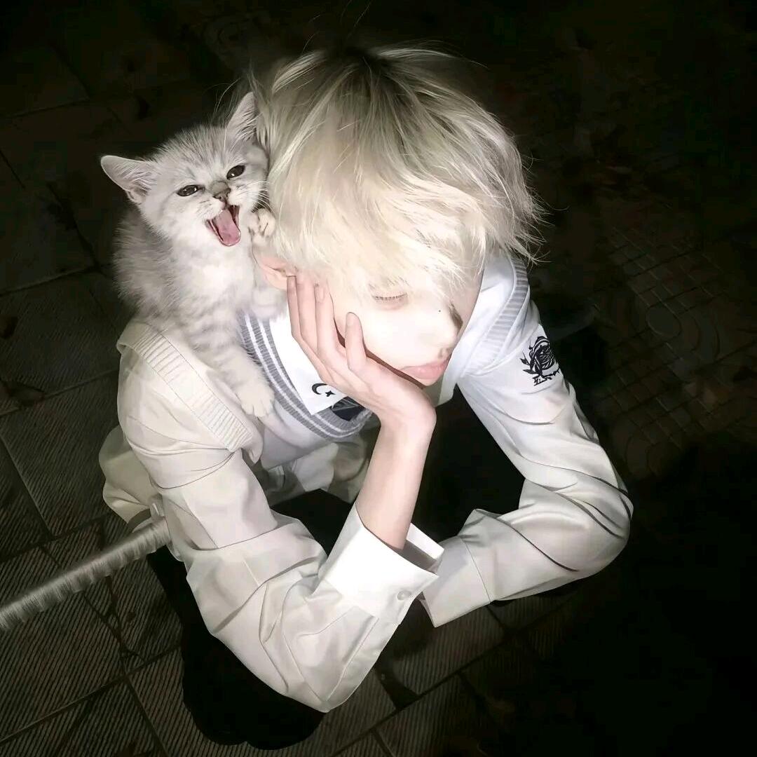 🌟