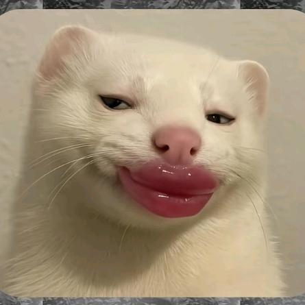 苦读古书懂古通古熟古不读古书不懂