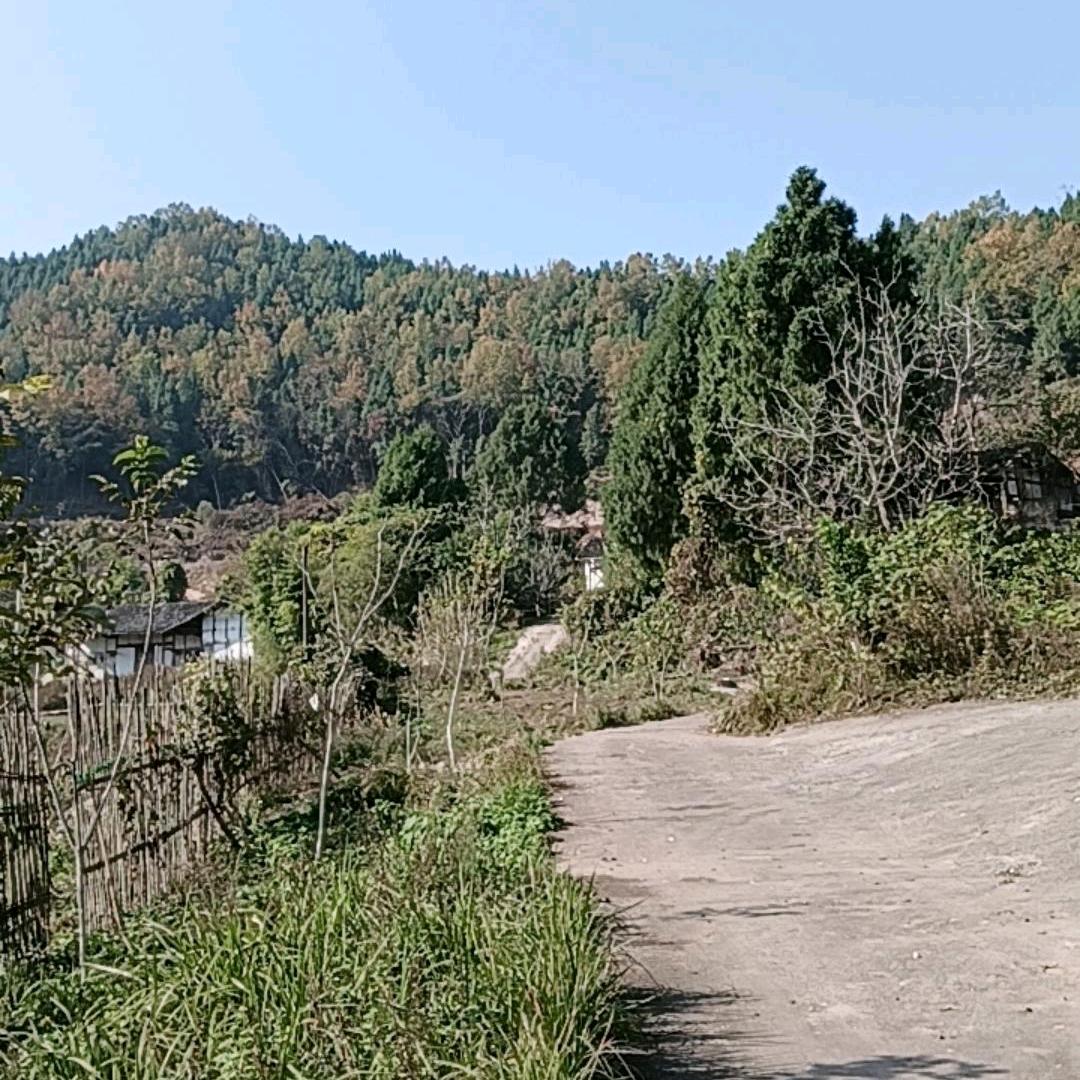 (๑><๑）@余@生@爱@自@己(๑><