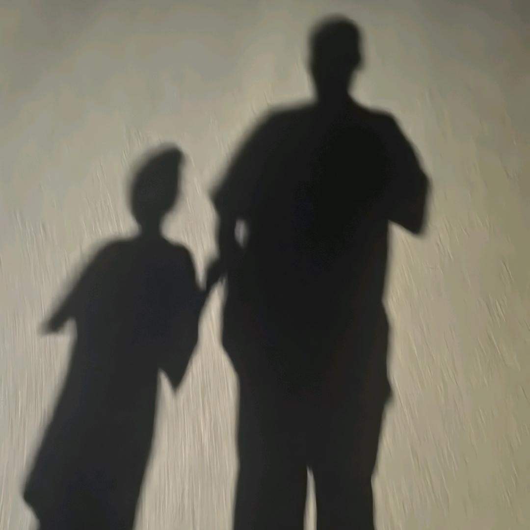 喜鹊建华宅—整装定制