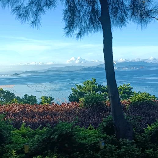 梦总是要有的—莫莫