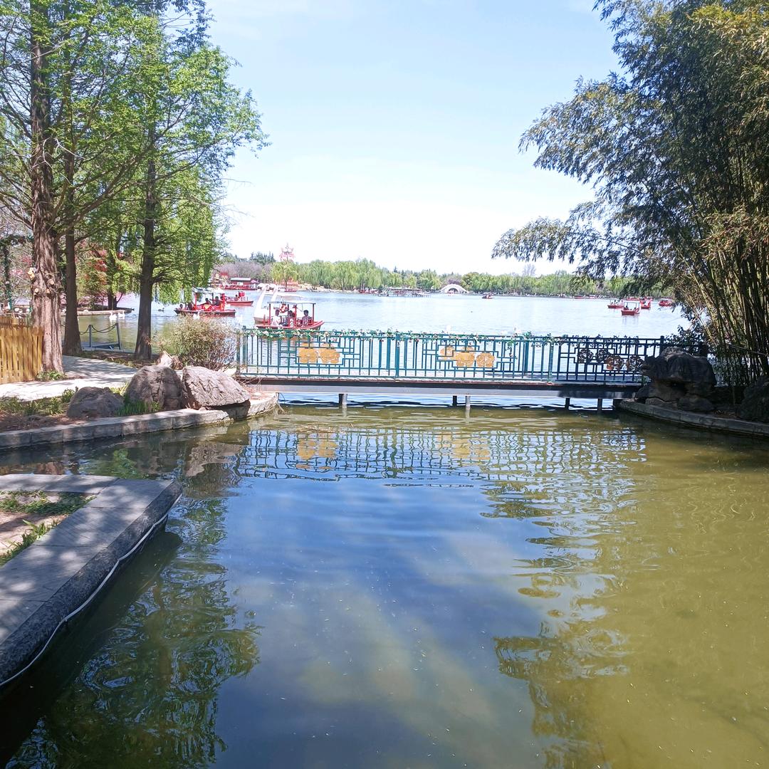 吉祥如意😍😍🤑😎