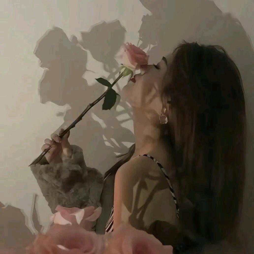 我是女骑士