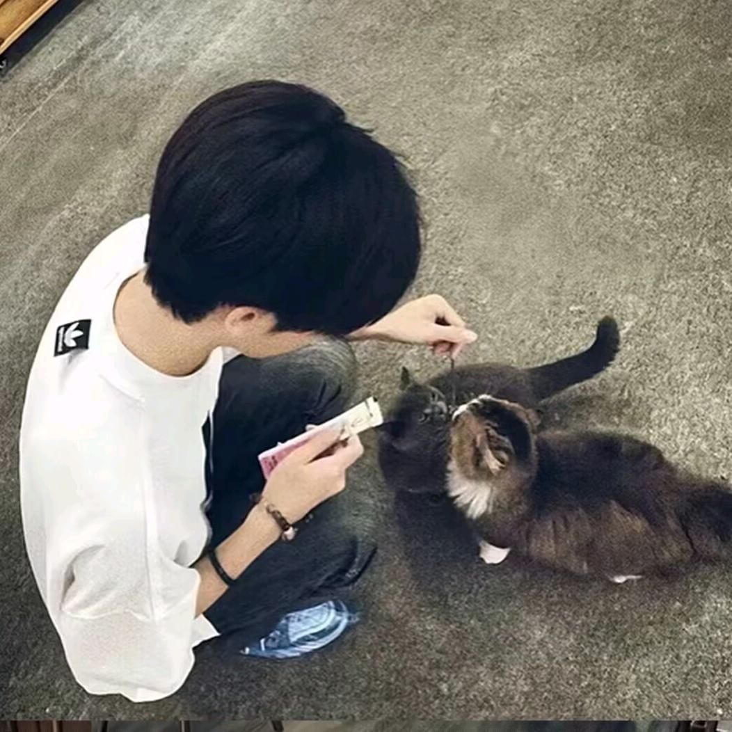 ▍有些情話，仅此而已。
