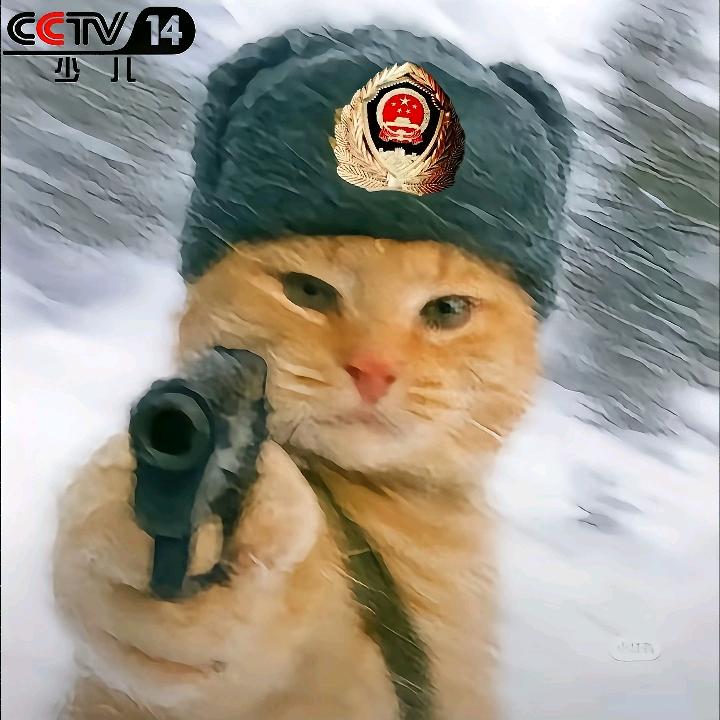 哟  徐沫啊！