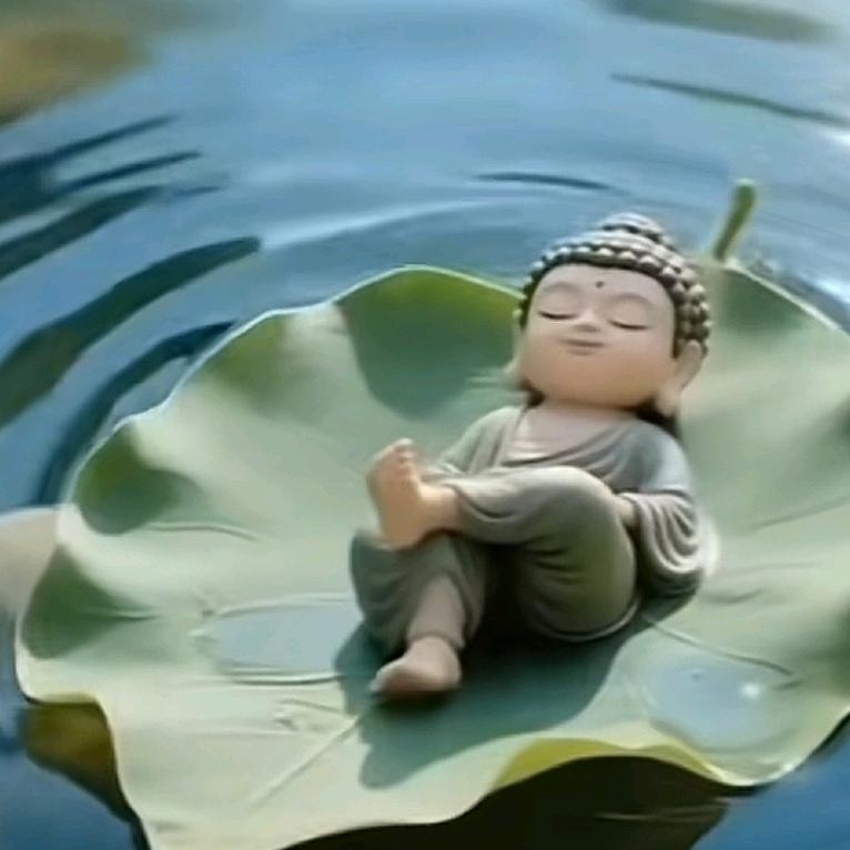 梦丽