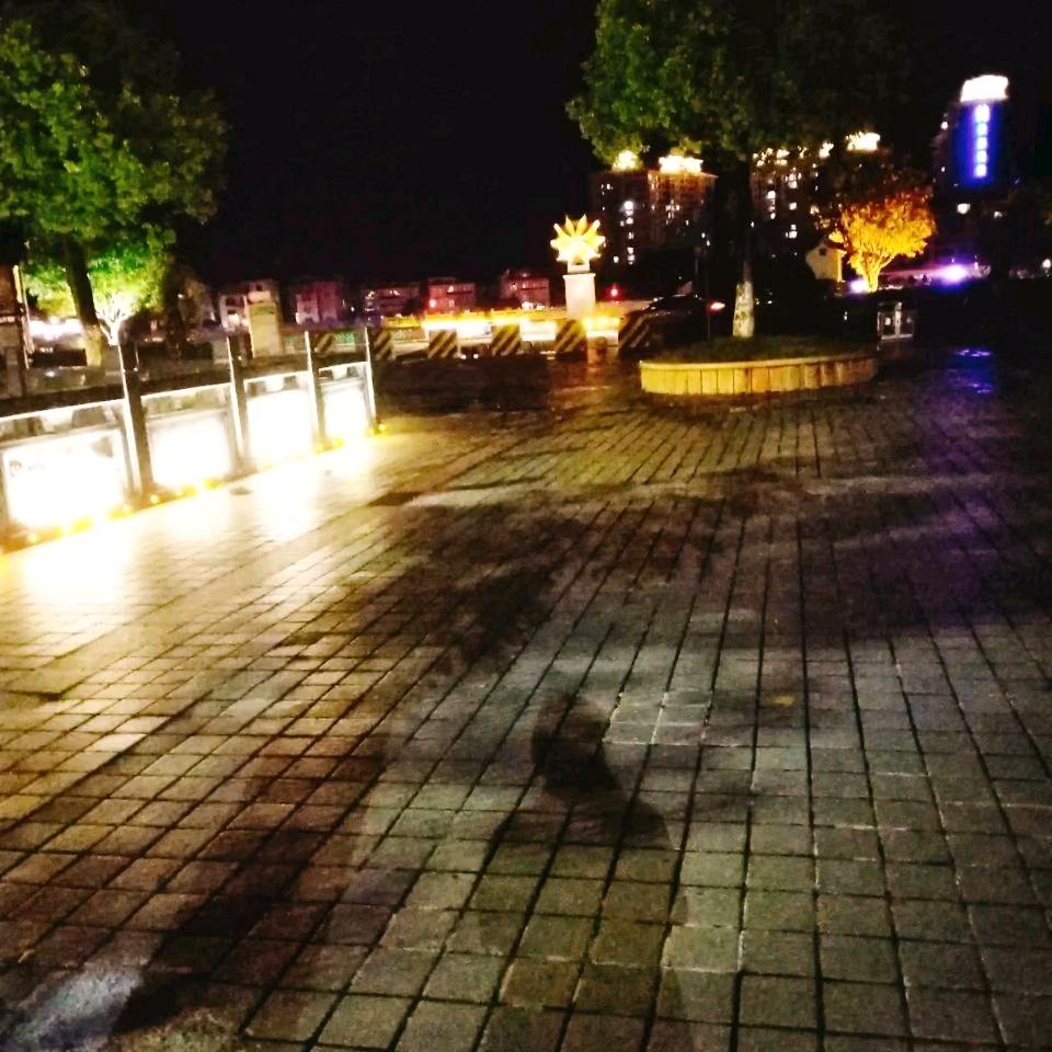 质蕙兰心