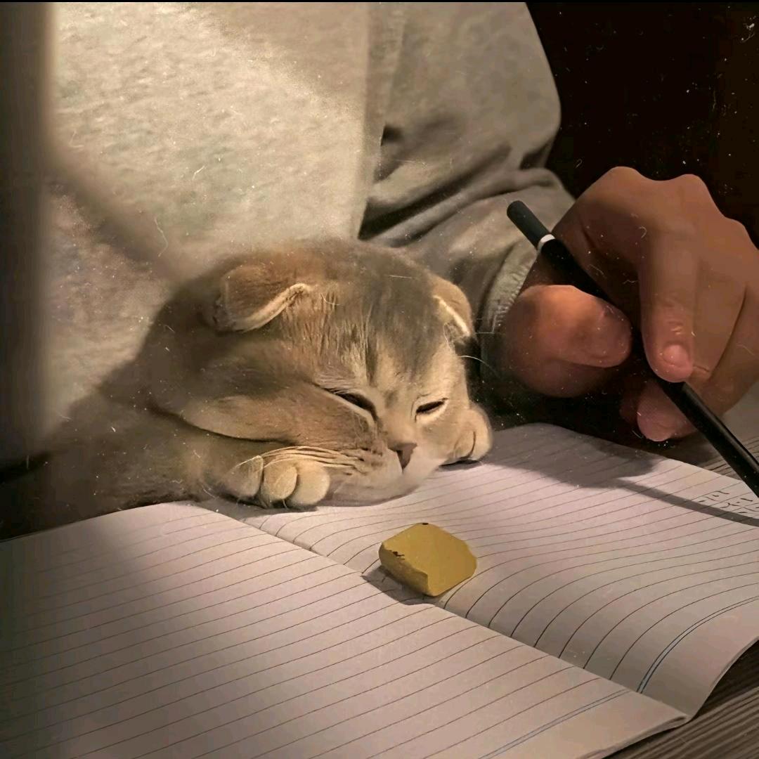 h不稀罕