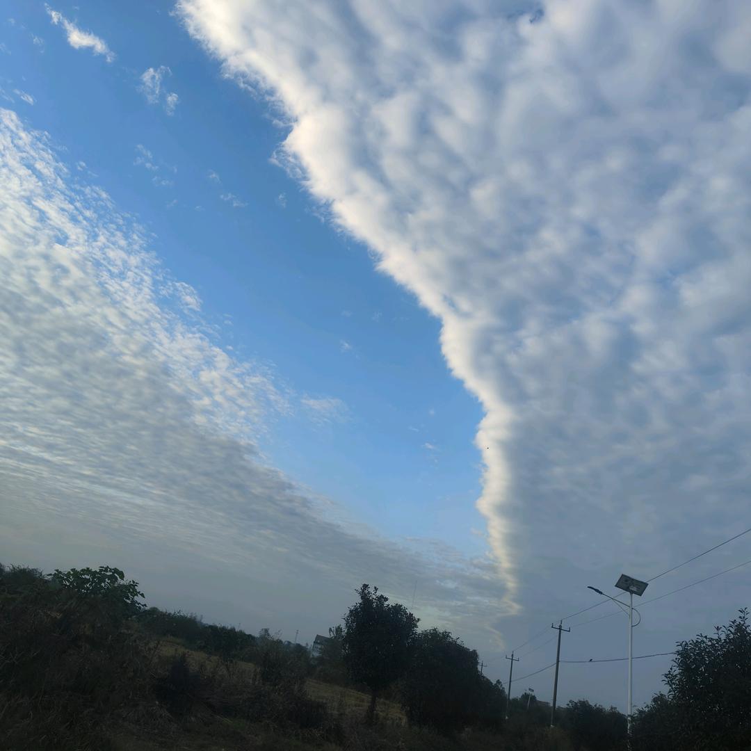 喂狗滴都是好男人