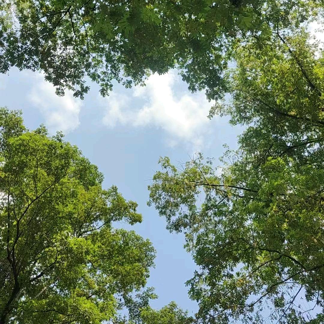🌈高高🌟