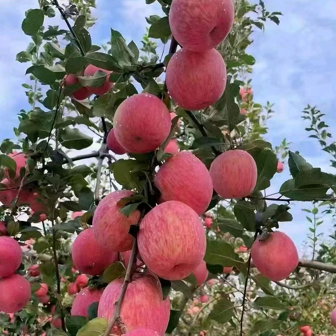 💔᭄ꦿ爱財爱己