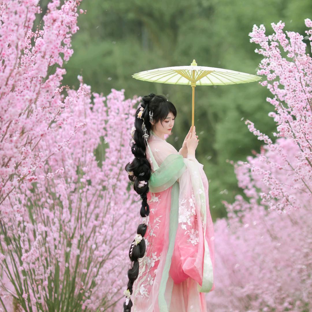 白鱼小白鱼