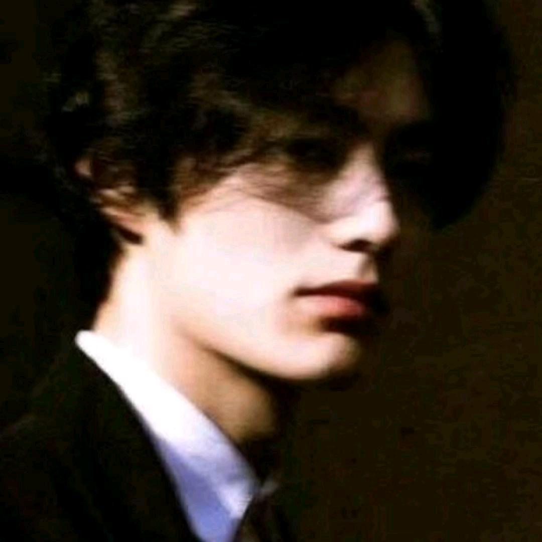 孤雏（陆地杀手版）