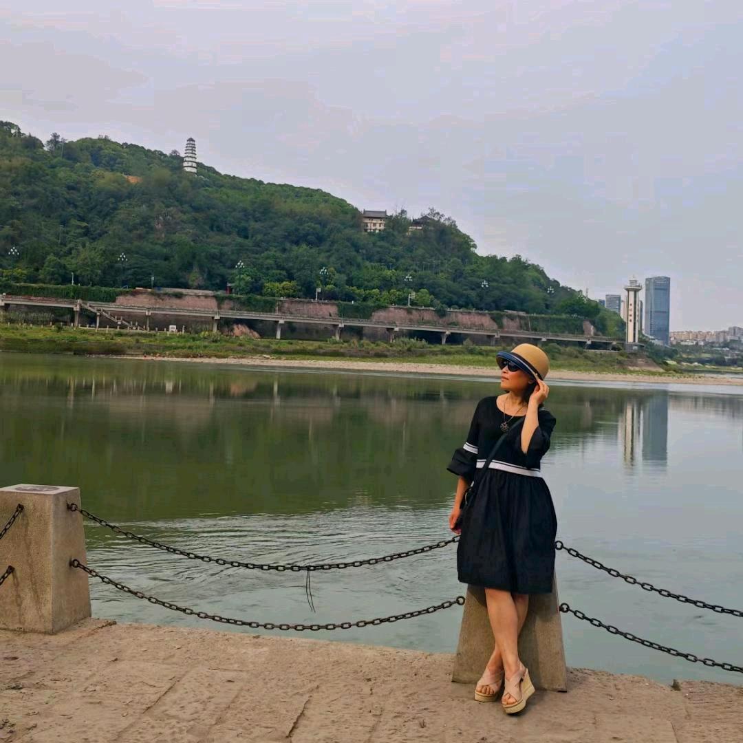 秋海棠