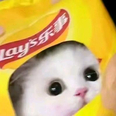 我的名字叫小帅