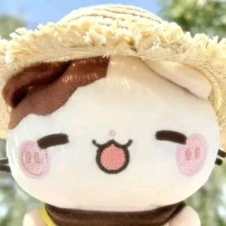 o静