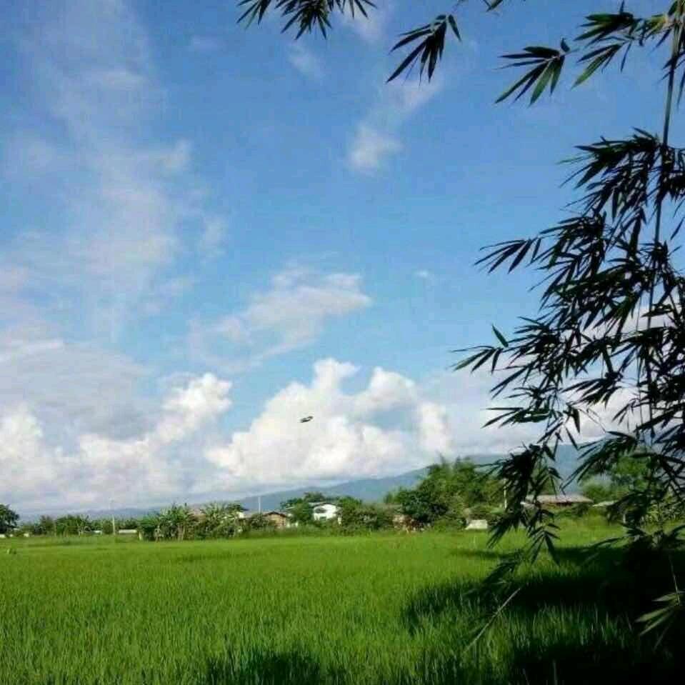 .上善若水