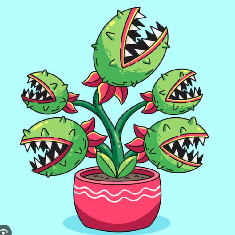 捕蝇草