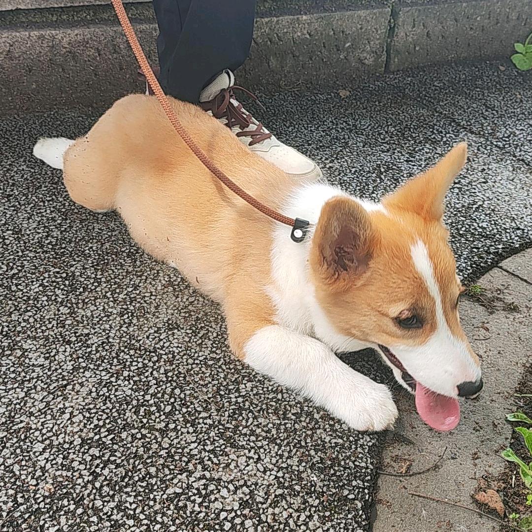 ^0^