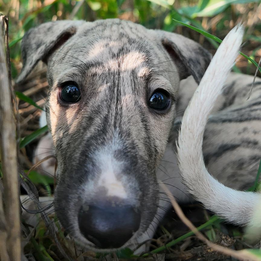 在找工作的00后牛马（被骗版）