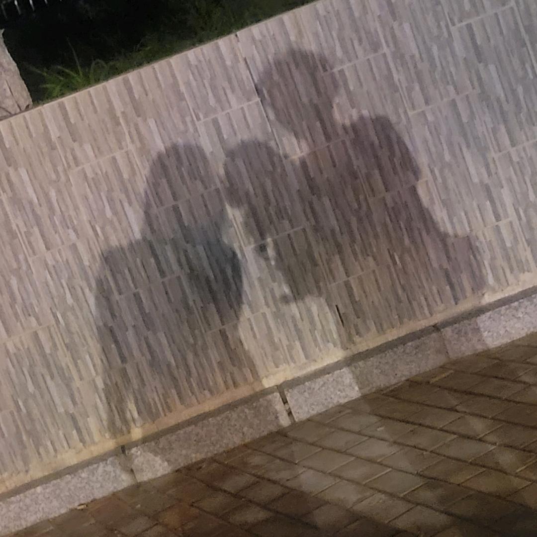 谁叫我铭紫