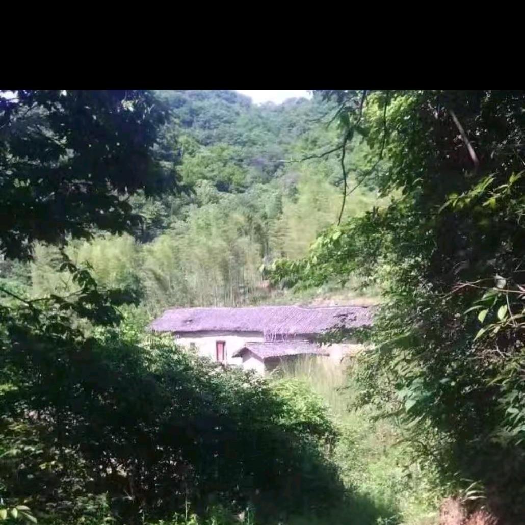 蜂生水起，酿蜜而行