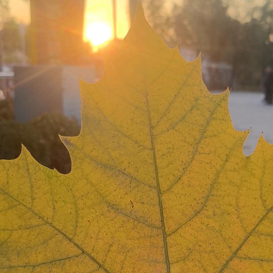 最美的风景<在路上>有关必回