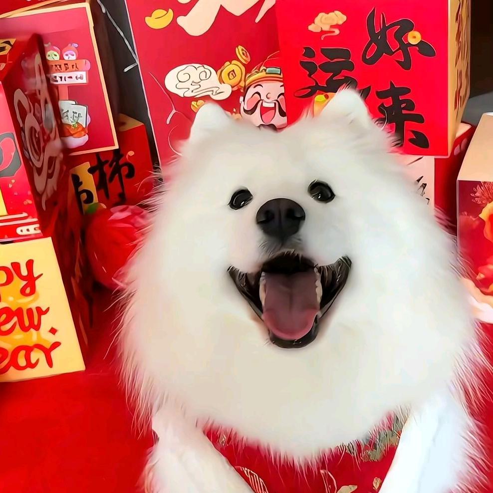 可爱的小狗