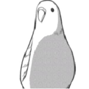 雘篱火音的小鹏