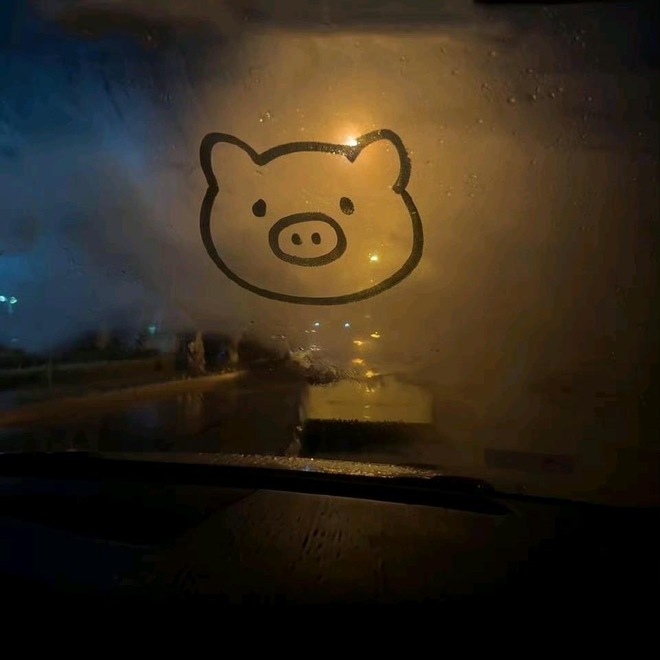 美女超人💭